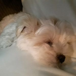 Meet your Posher, Cindi